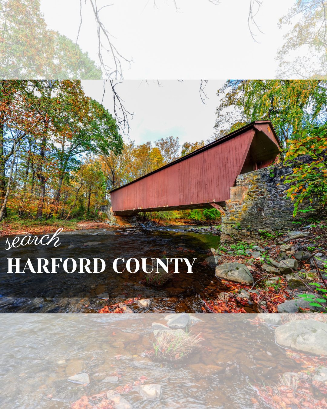 Dajinae Bell Realtor in Harford County